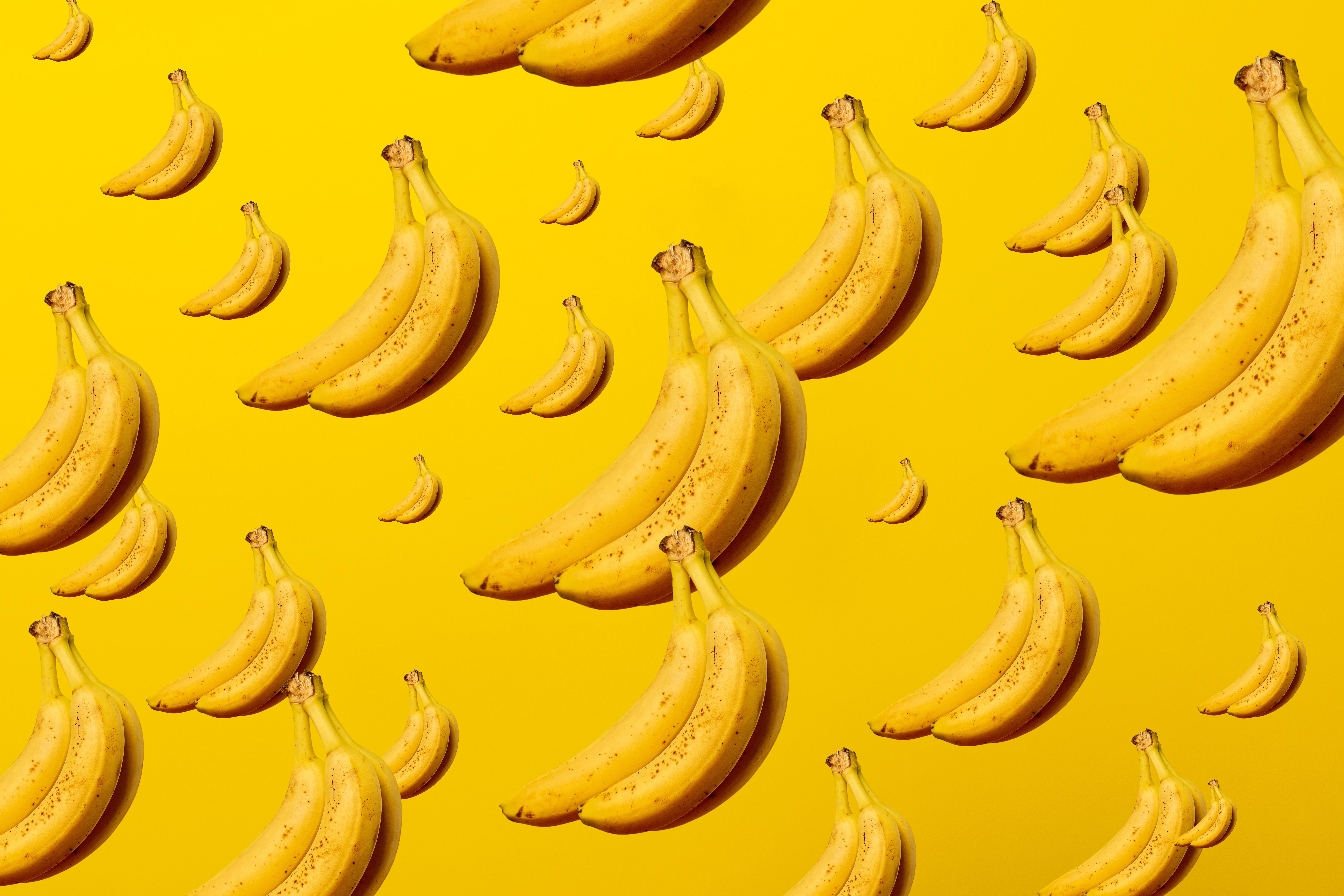 Banana Crew will come and tell all about their newest logo and their brand standards.